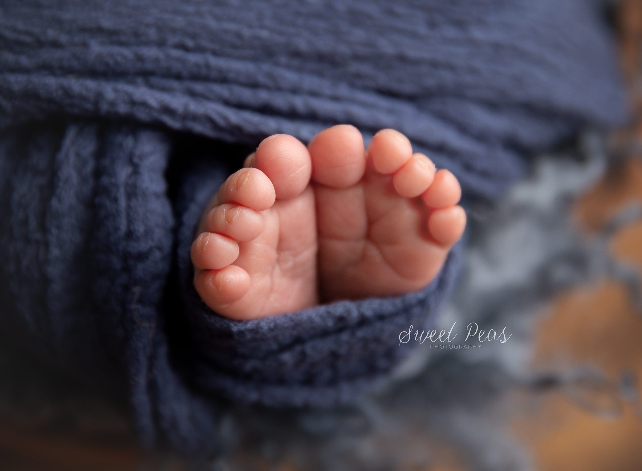 Kingman Newborn Photographer