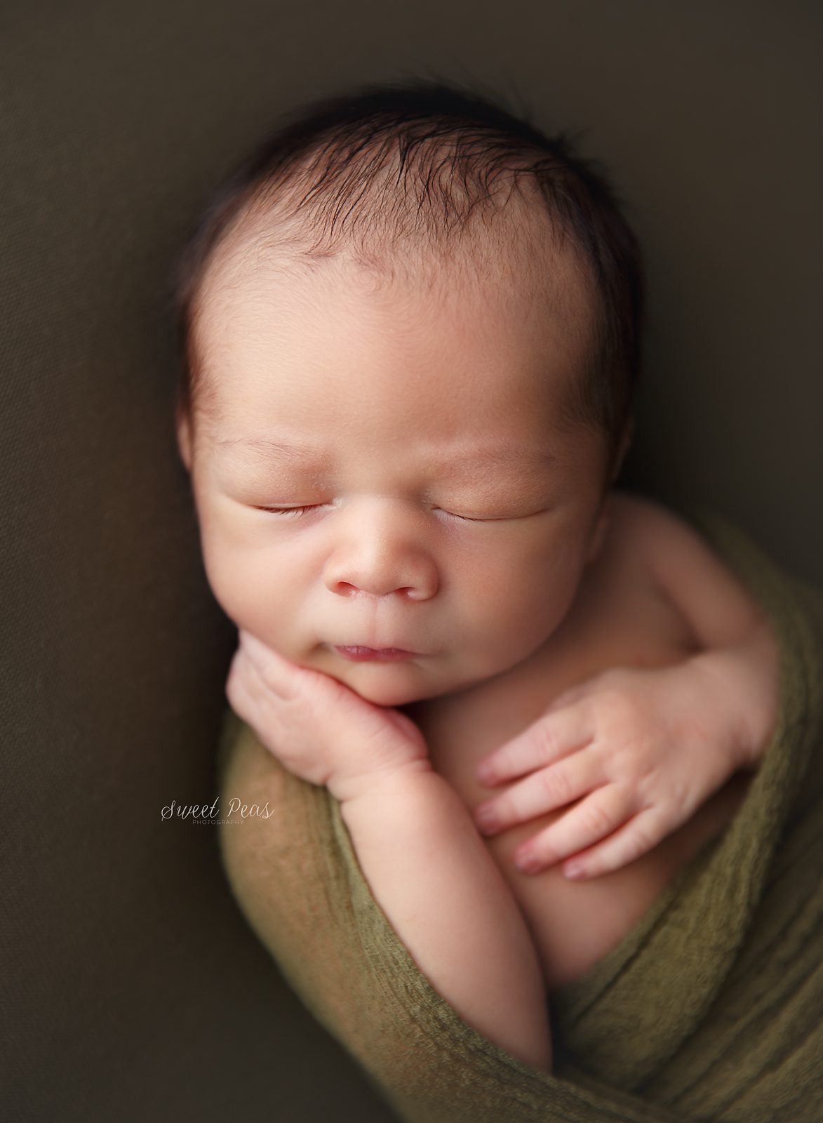 Prescott Newborn Photographer