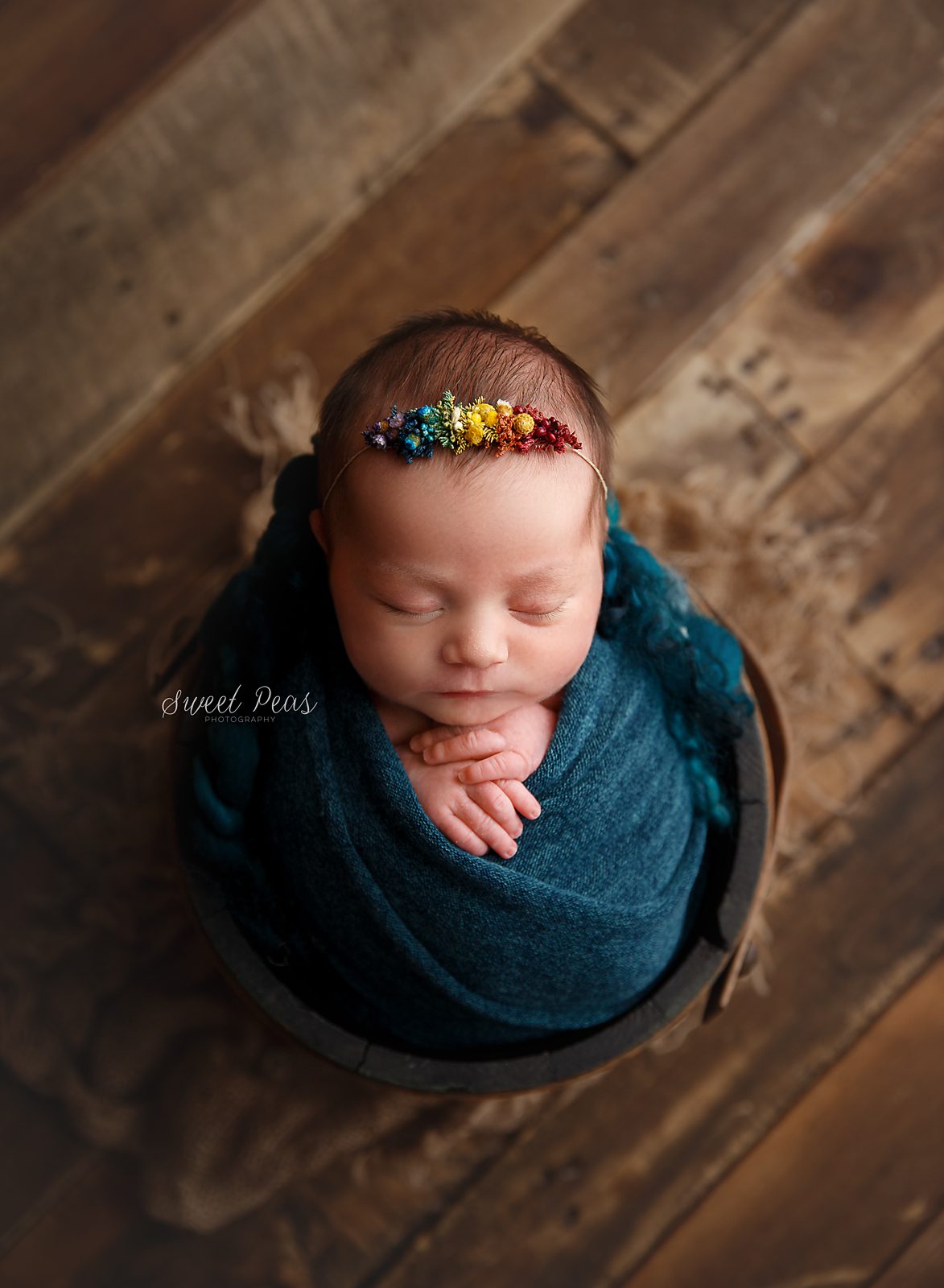 Williams Newborn Photographer