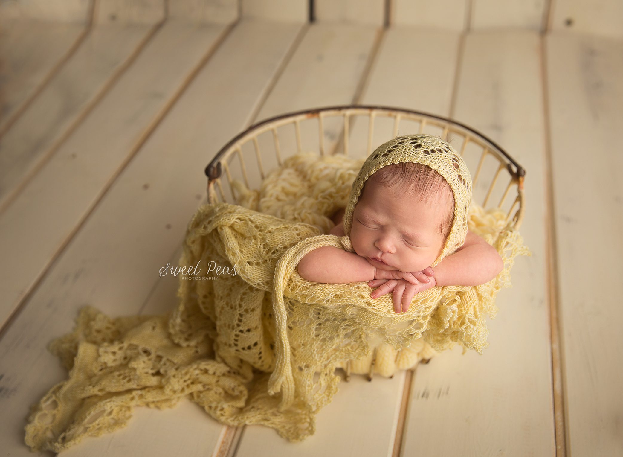 Lake Havasu City Newborn Photographer