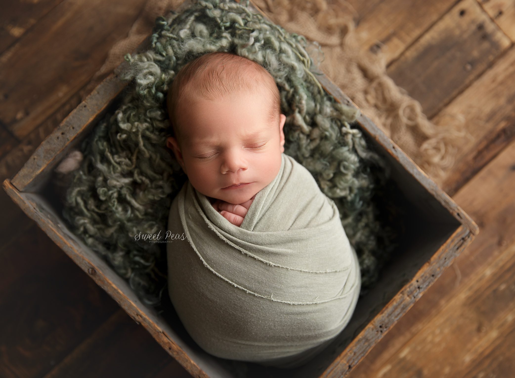 Bullhead City Newborn Photographer