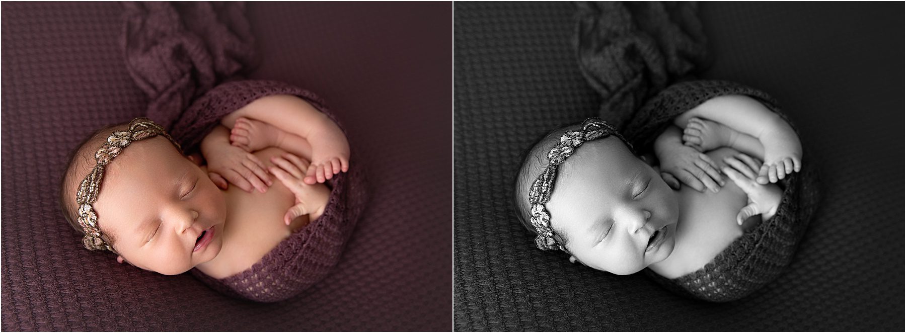 Williams Newborn Photographer