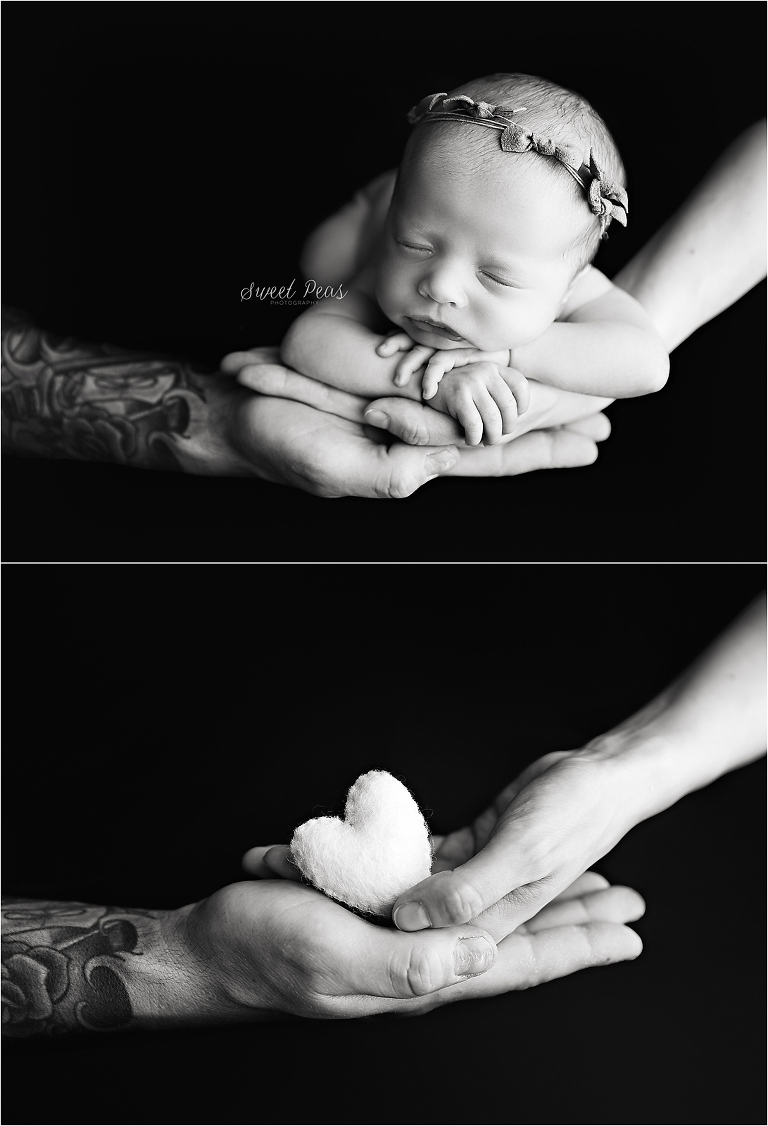 Prescott Newborn Photographer