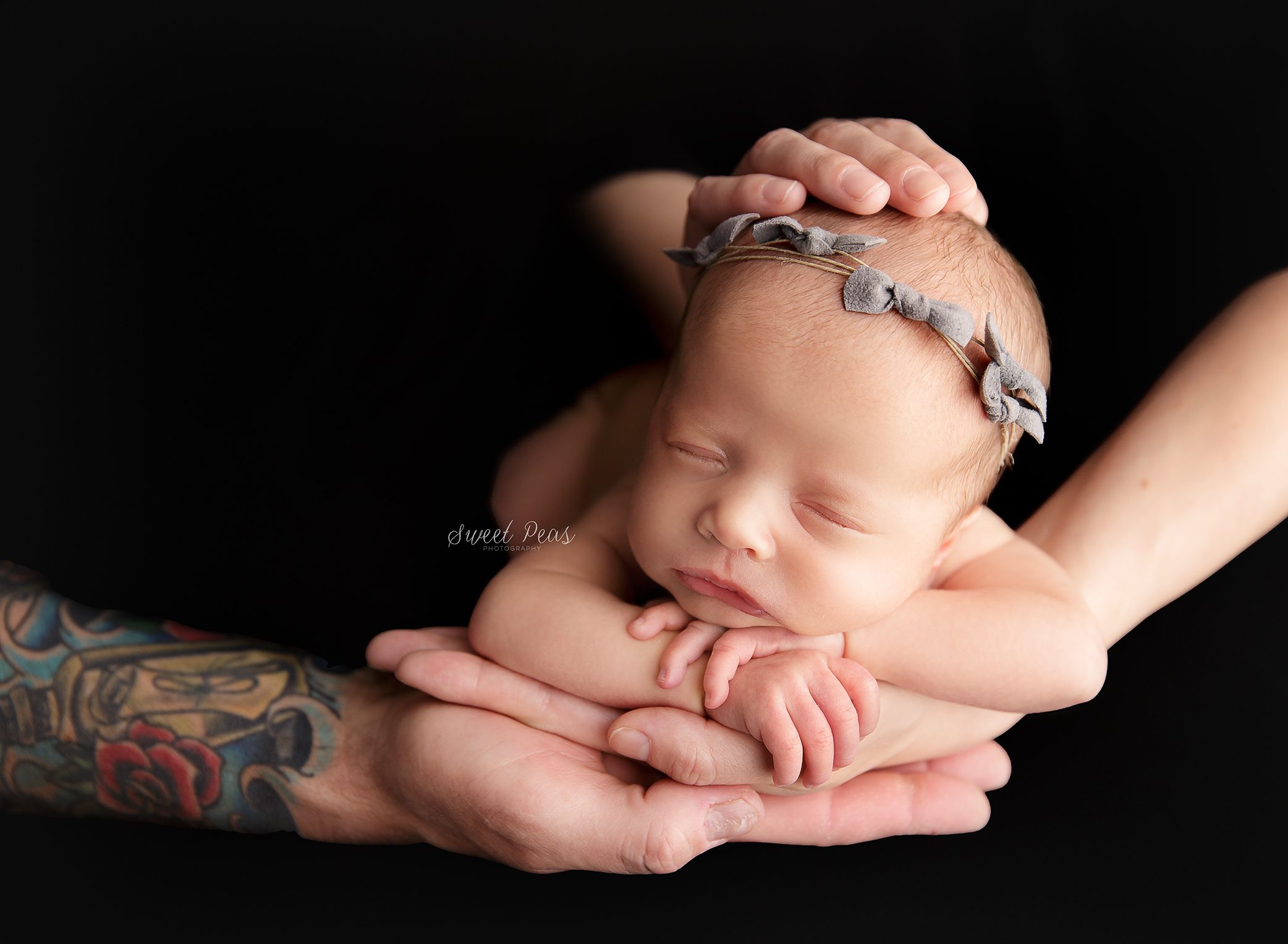 Flagstaff Newborn Photographer
