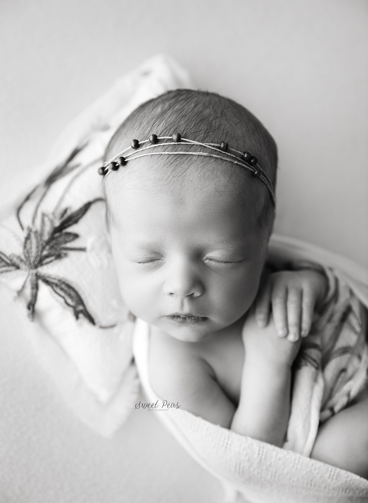 Williams Newborn Photographer