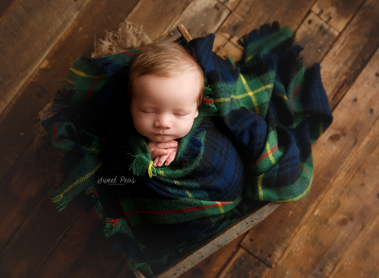 Lake Havasu City Newborn Photographer sweet peas photography