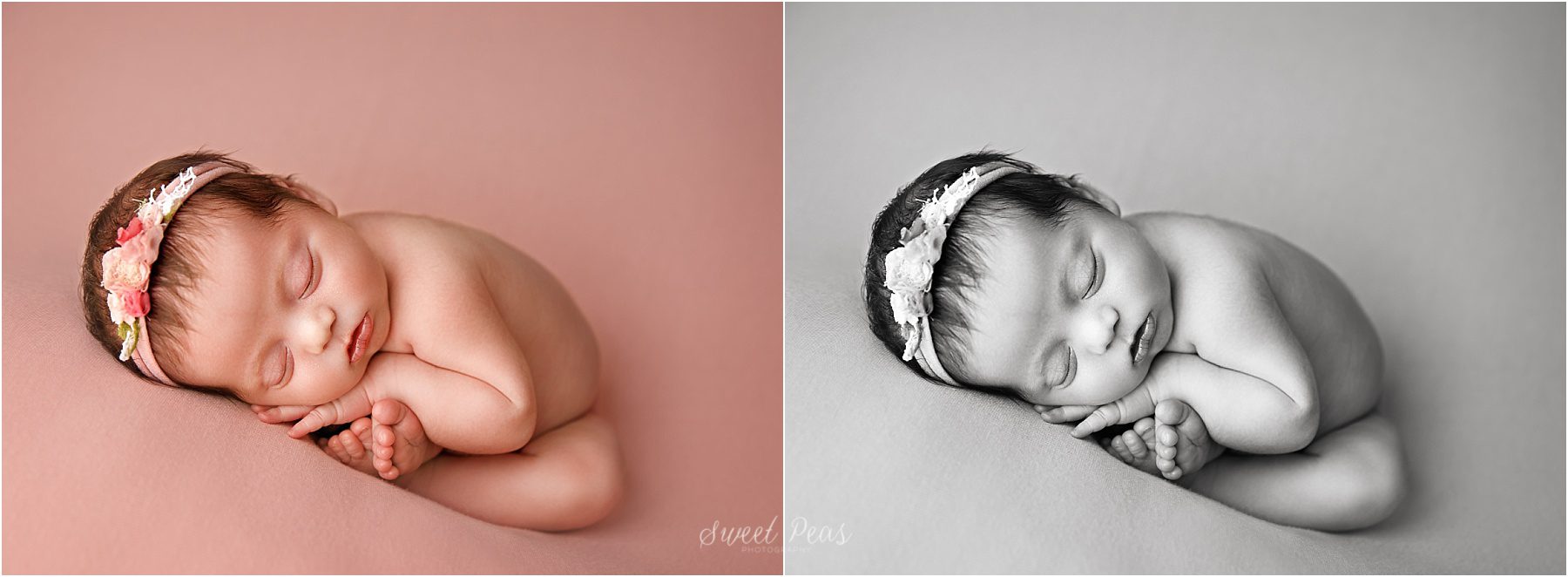 Prescott Newborn Photographer