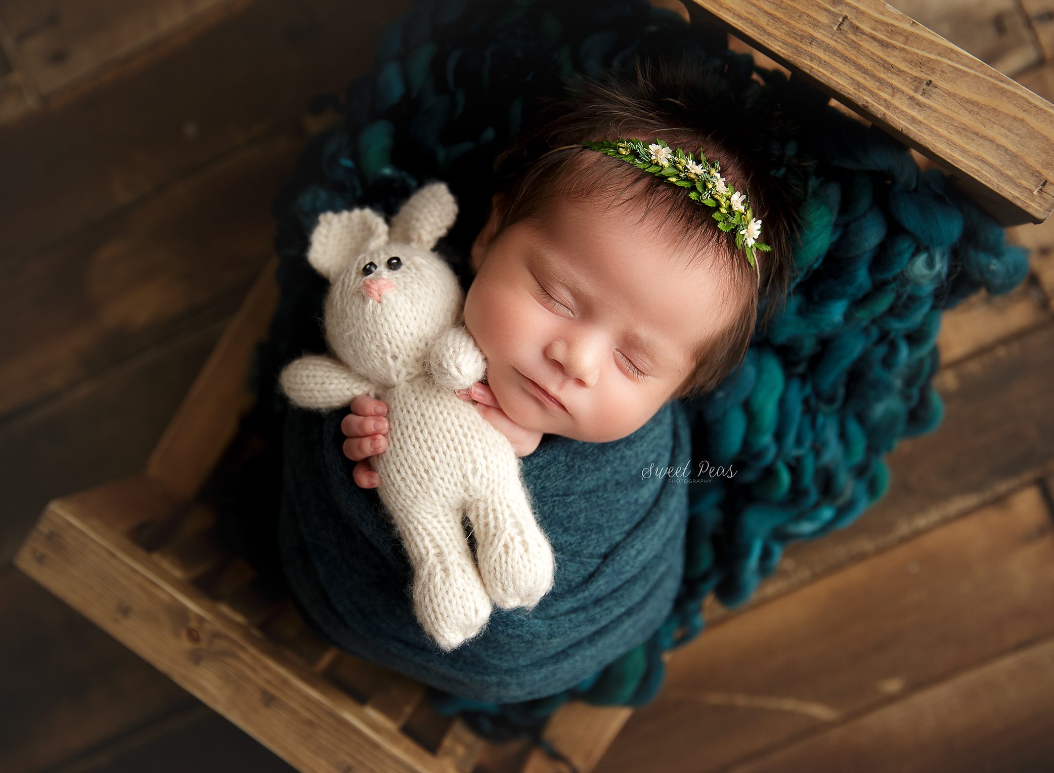 Prescott Newborn Photographer