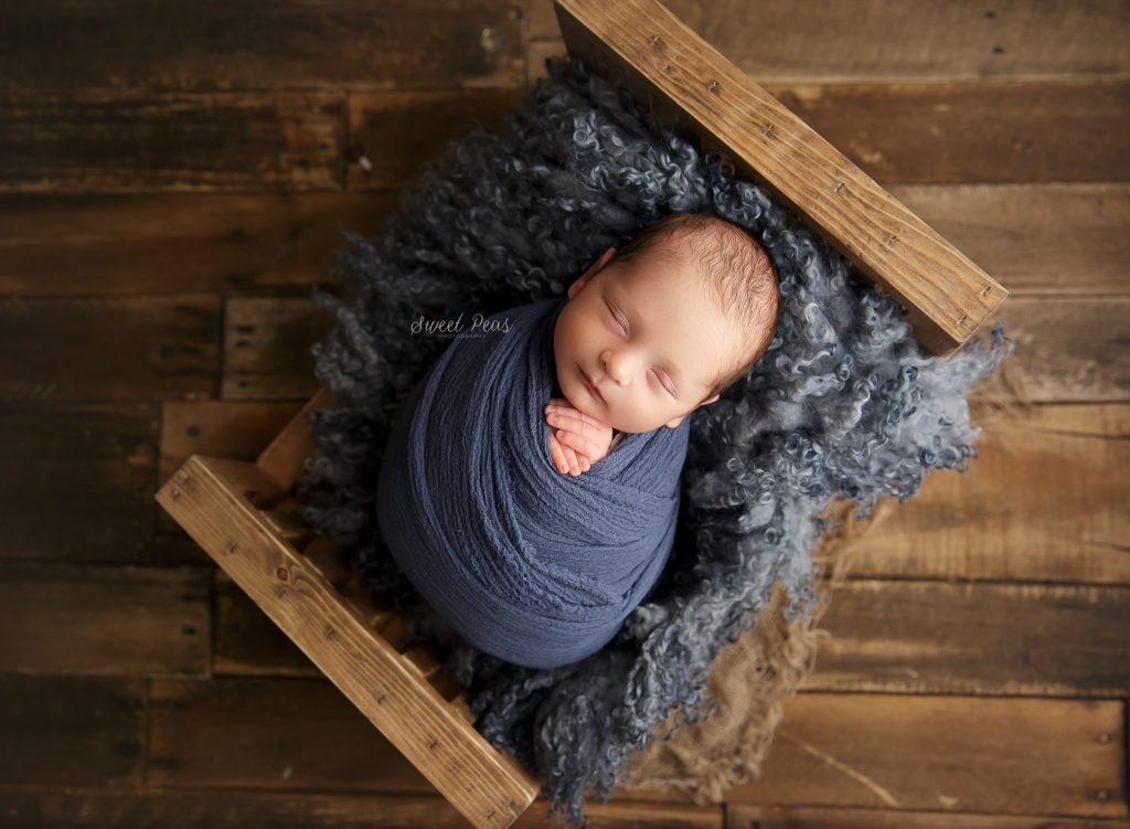 newborn photos sweet peas