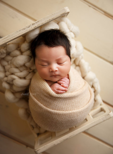 Prescott Newborn Photographer