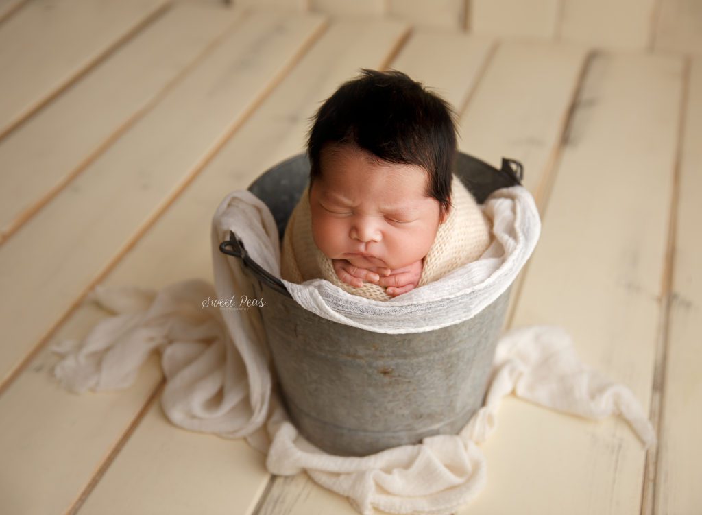 Bullhead Photographer