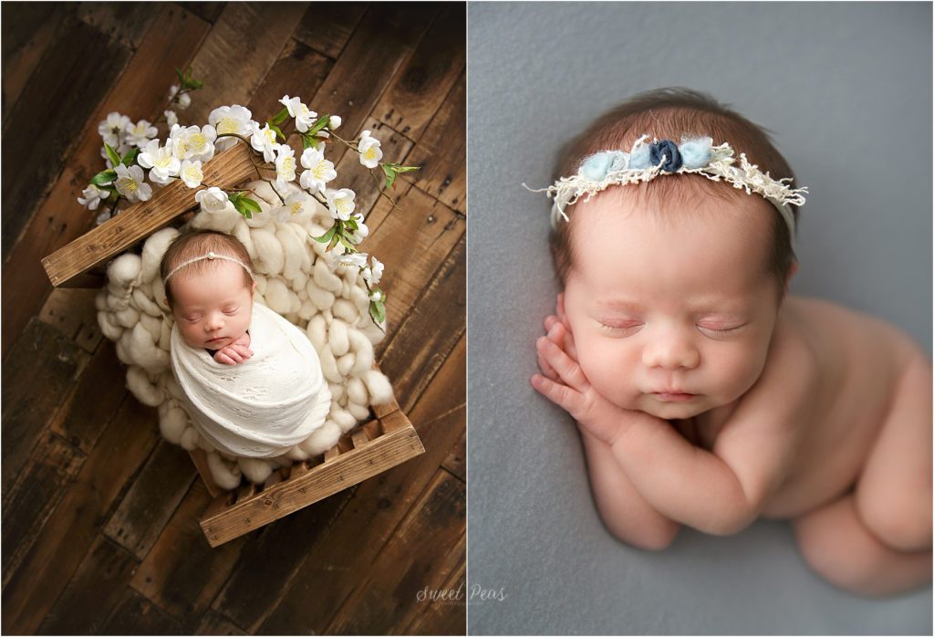Prescott Newborn Photographer