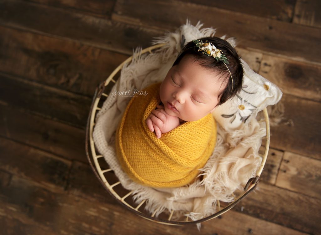 Prescott Newborn Photographer sunflower theme