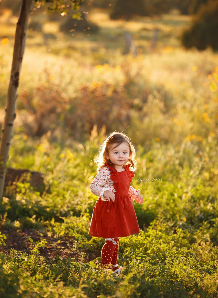 Lake Havasu Photographer