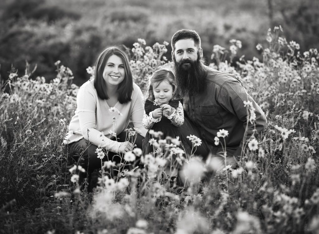 wildflower family pictures