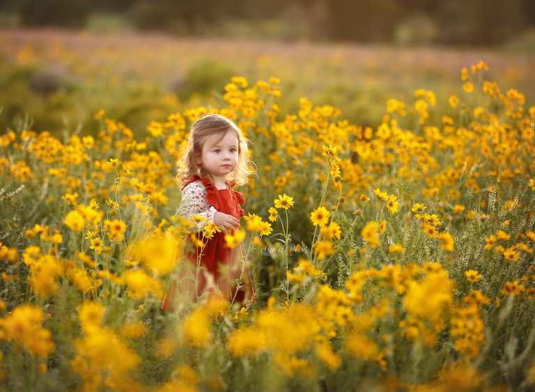 Flagstaff Baby Photographer The Simon Family