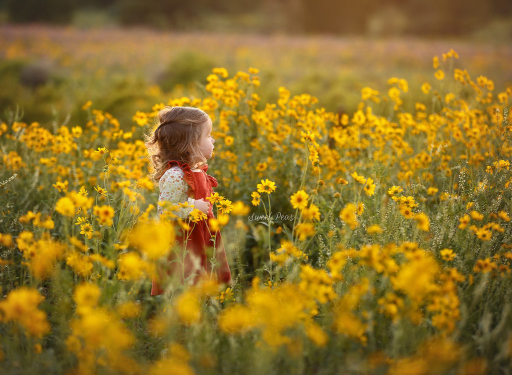 Flagstaff Baby Photographer