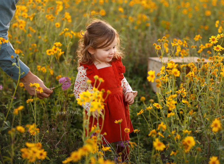 Flagstaff Photographer wildflowers