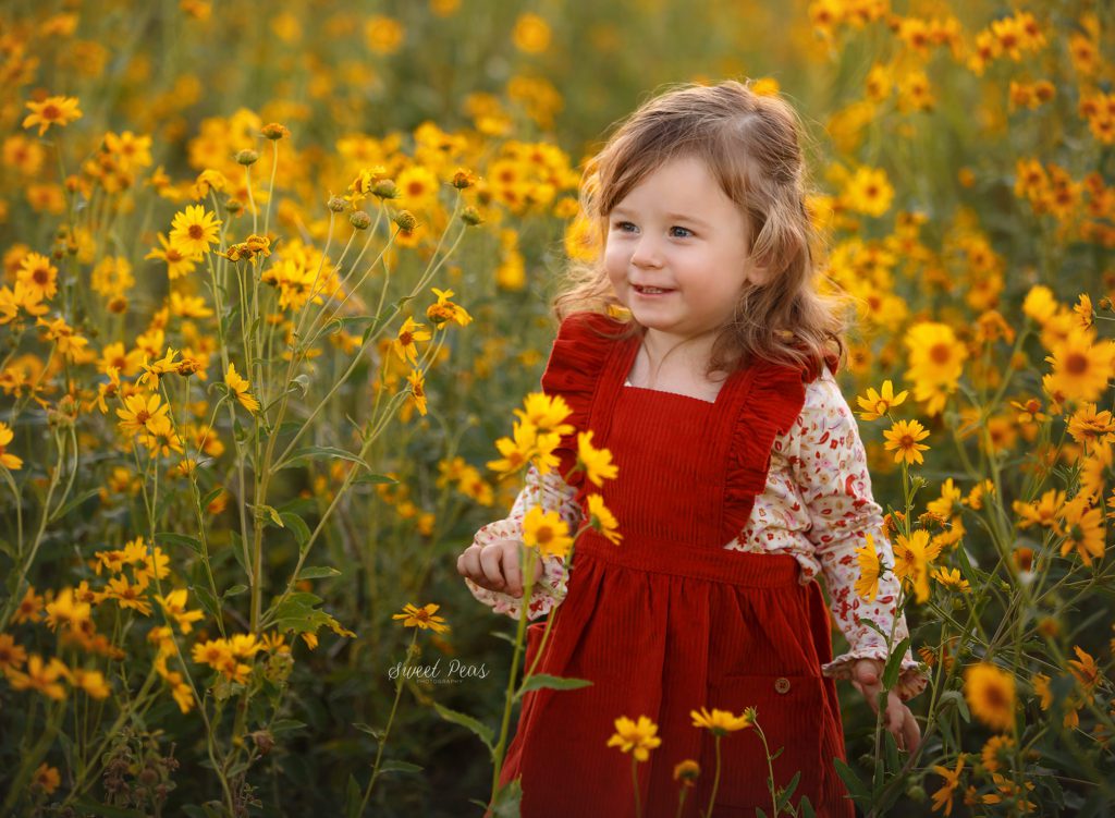 Bullhead Photographer