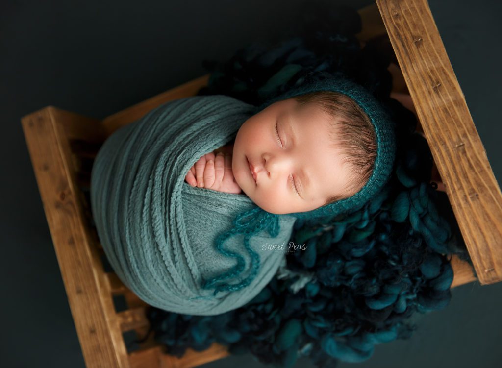 Prescott Newborn Photographer