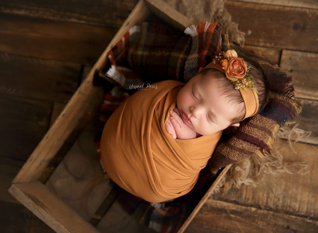 Lake Havasu City Newborn Photographer