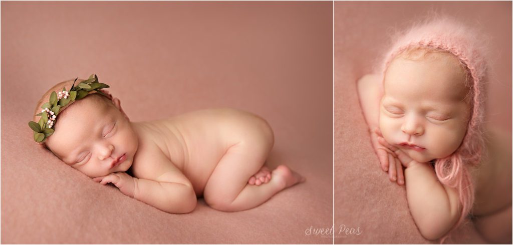 Williams Newborn Photographer