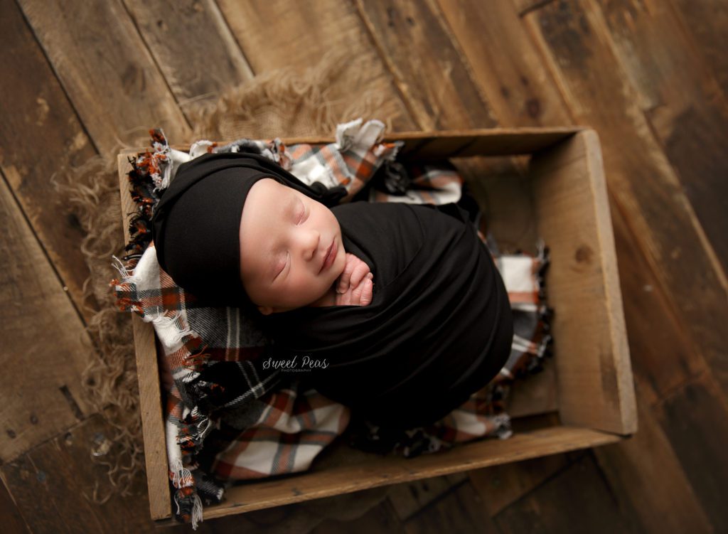 Prescott Newborn Photographer