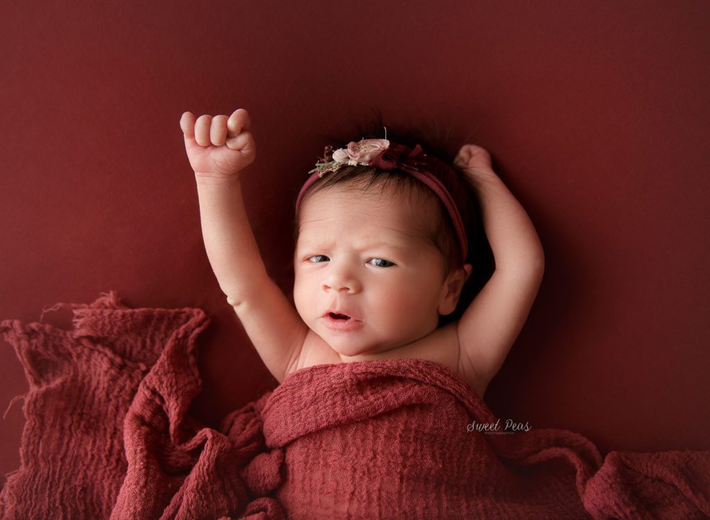 newborn photos kingman