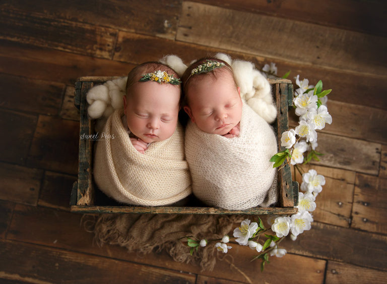 Twin Newborn Session | Brooklyn and Dakota | Kingman Photographer