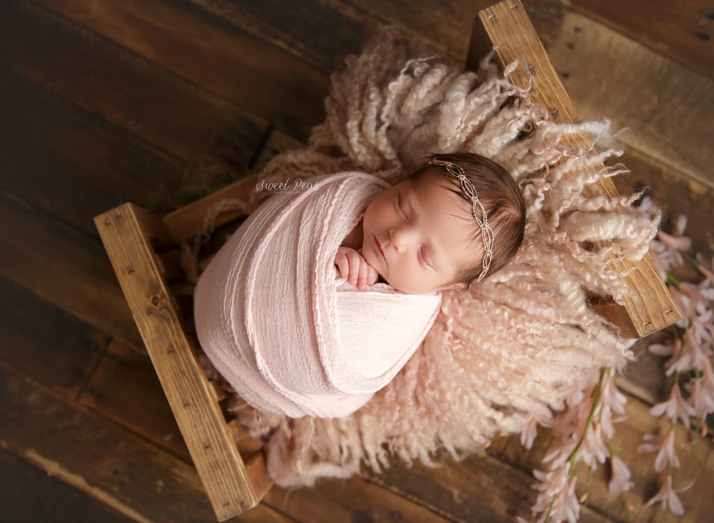 Flagstaff Newborn Photographer
