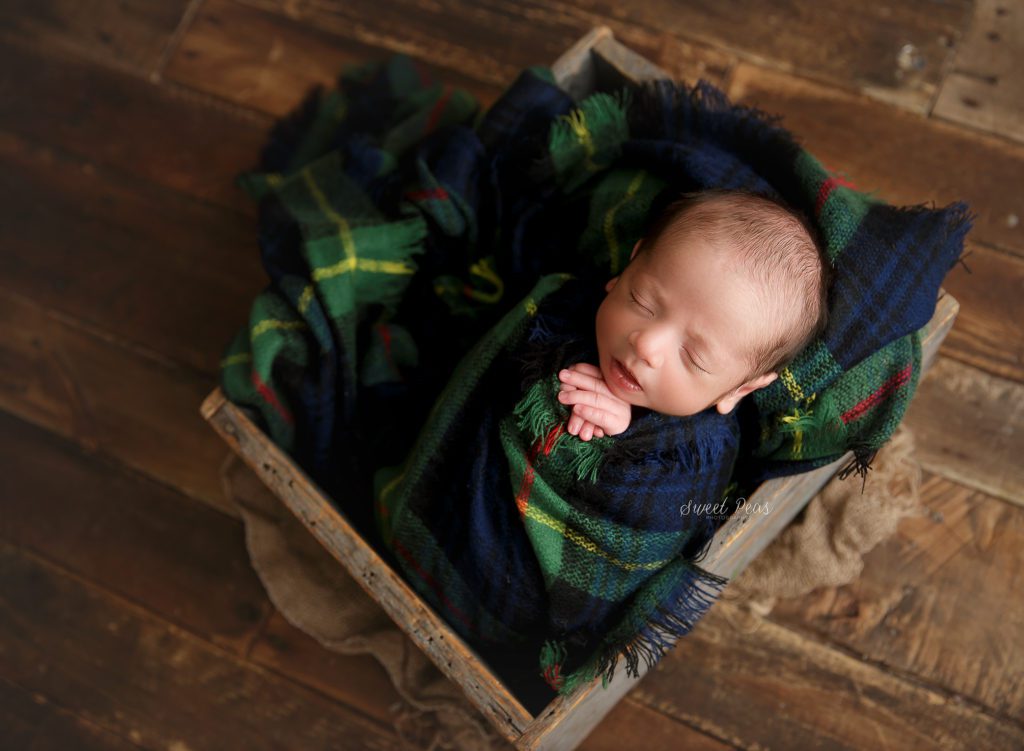 Kingman Baby Photographer