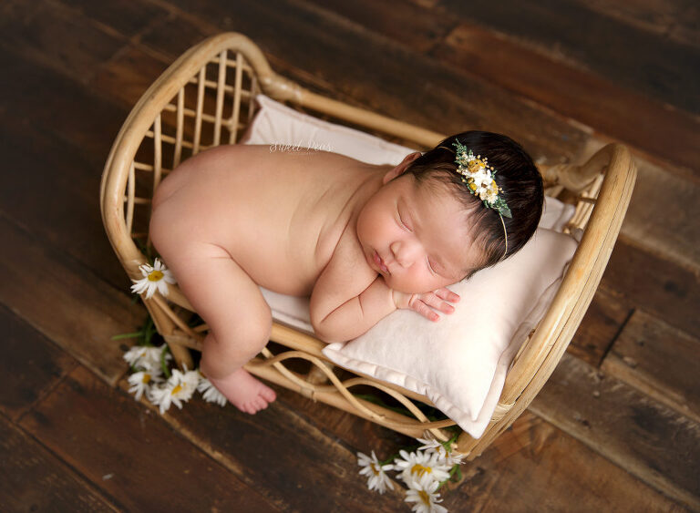 Lake Havasu City Newborn Photographer