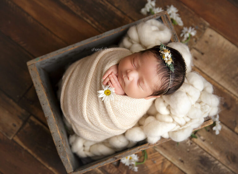 Bullhead City Newborn Photographer