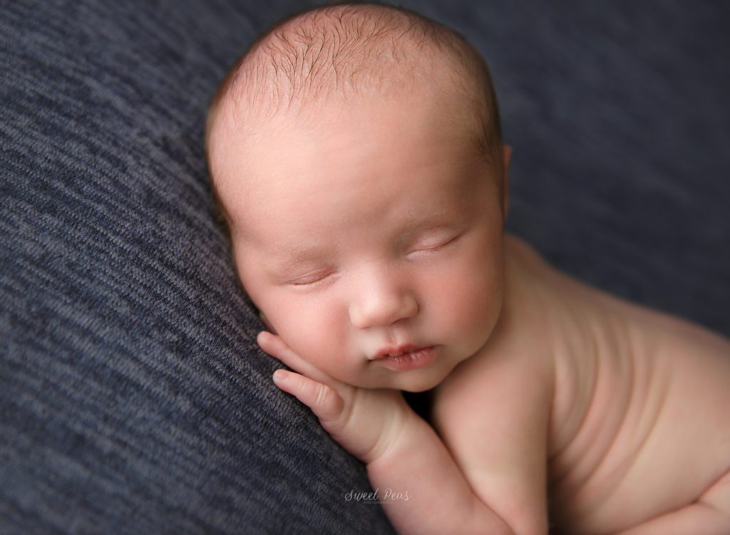 Prescott Newborn Photographer