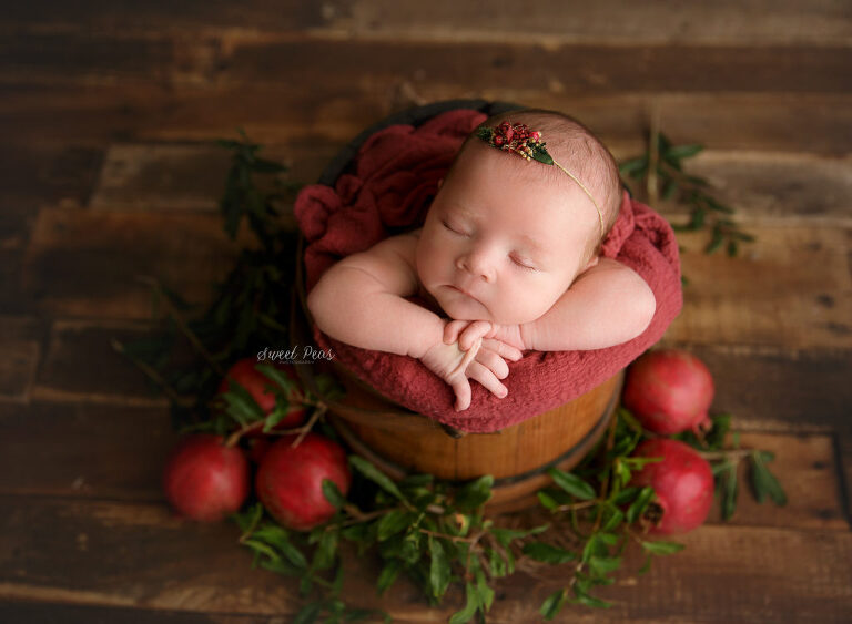 Prescott Newborn Photographer