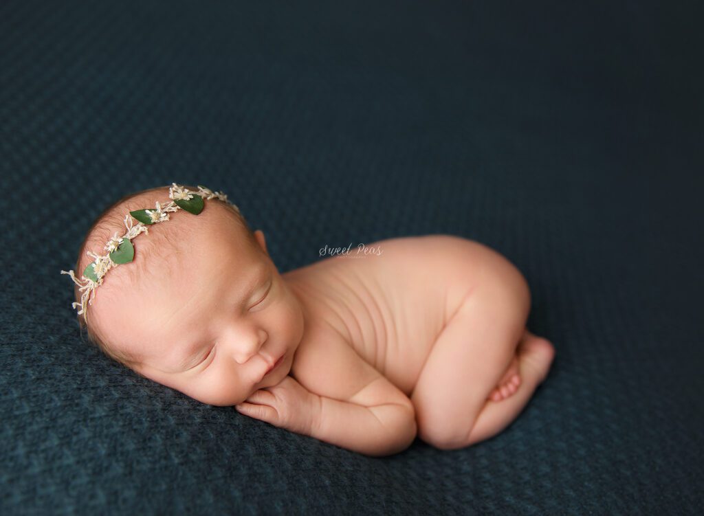 Prescott Newborn Photographer