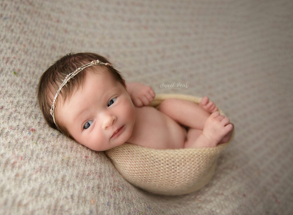 Kingman Photographer