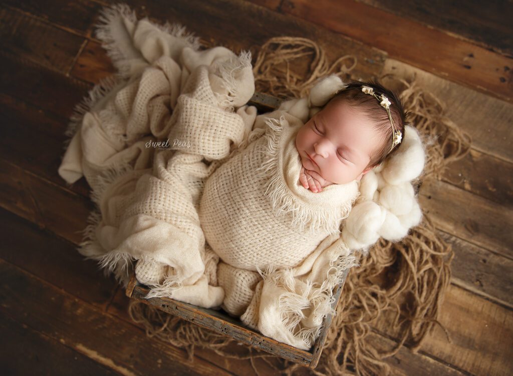 Las Vegas Newborn Photographer