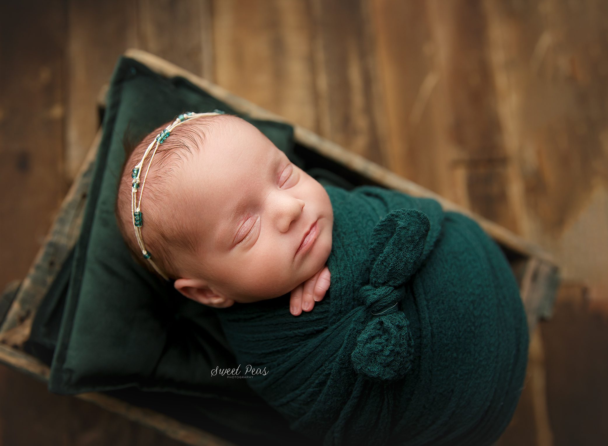 newborn photos jewel tones