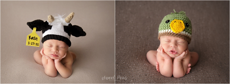froggy pose newborn photos
