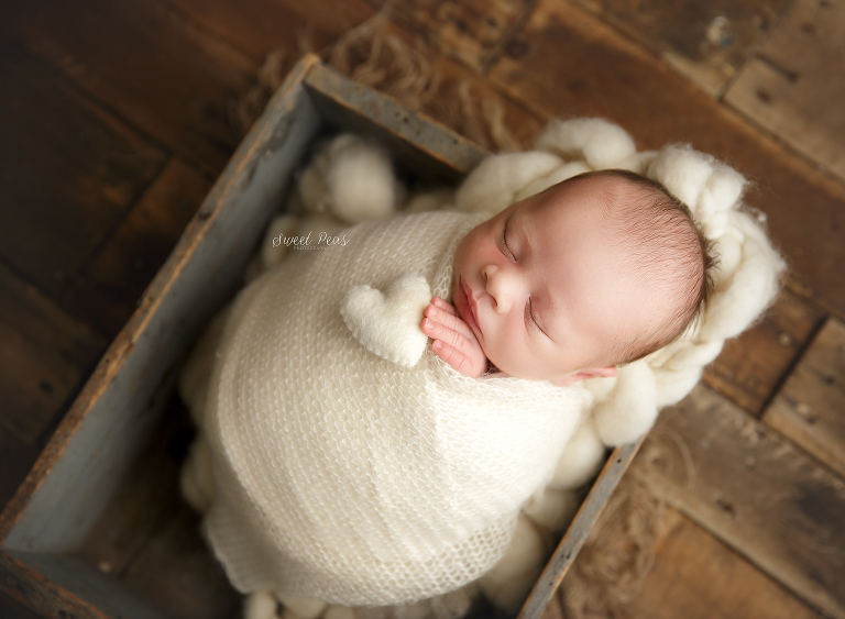 Kingman Newborn Photography baby photos 